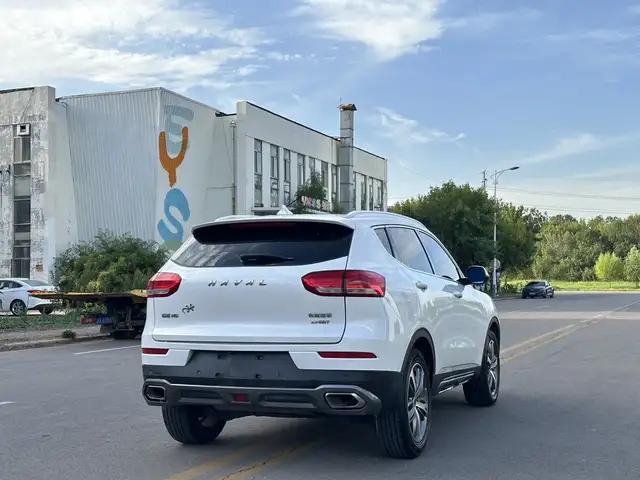Haval H6 2017 - Выбор фото 4