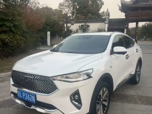 Haval Xiaolong Max 2020 - Выбор фото 1