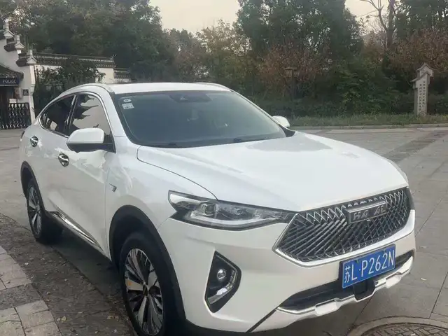 Haval Xiaolong Max 2020 - Выбор фото 3