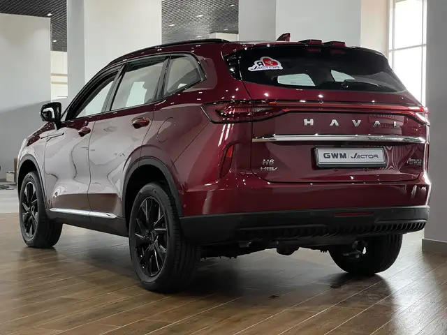 Haval H6 HEV 2025 - Выбор фото 4