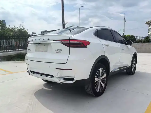 Haval F7x 2020 - Выбор фото 8