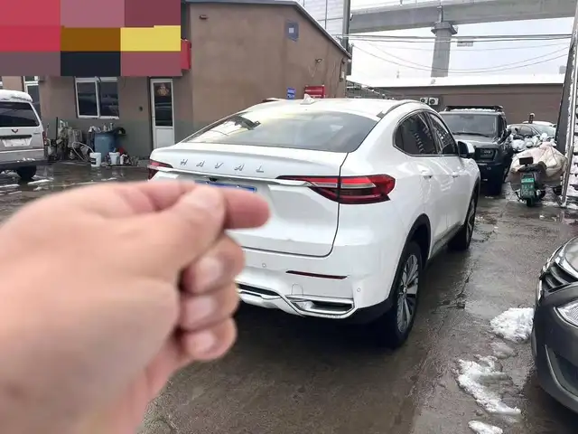 Haval F7x 2019 - Выбор фото 7