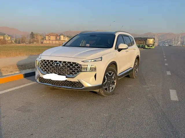 Hyundai Santa Fe 2022 - Выбор фото 1