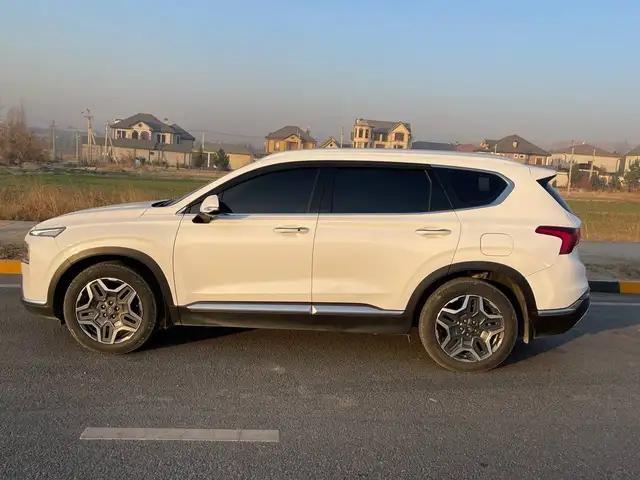 Hyundai Santa Fe 2022 - Выбор фото 2