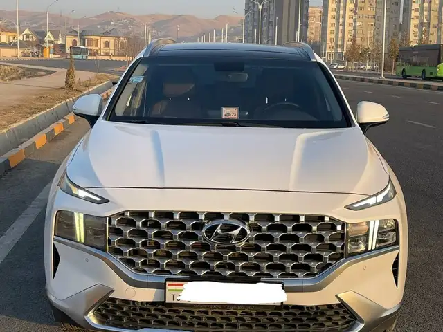Hyundai Santa Fe 2022 - Выбор фото 4