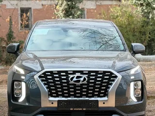 Hyundai Palisade 2021 - Выбор фото 6