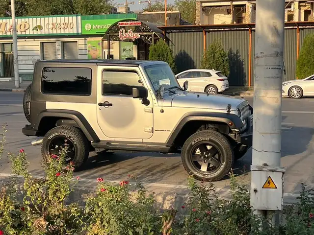 Jeep Wrangler 2010 - Выбор фото 4