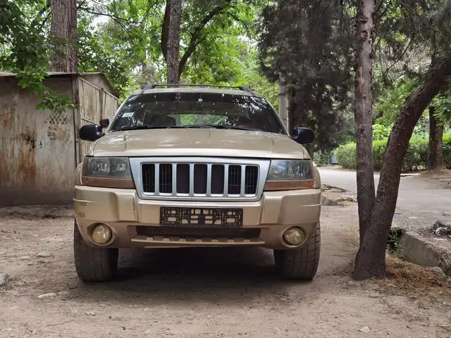 Jeep Grand Cherokee 1999 - Выбор фото 2