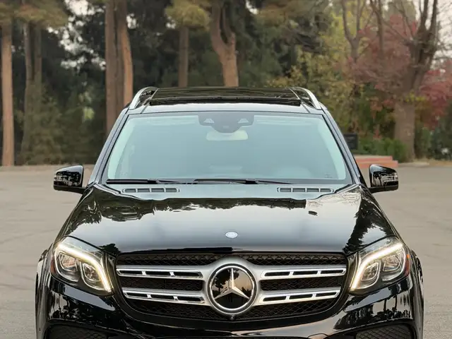 Mercedes -Benz GLS 2017 - Выбор фото 1