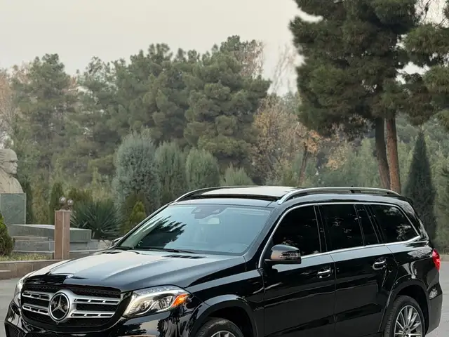 Mercedes -Benz GLS 2017 - Выбор фото 2