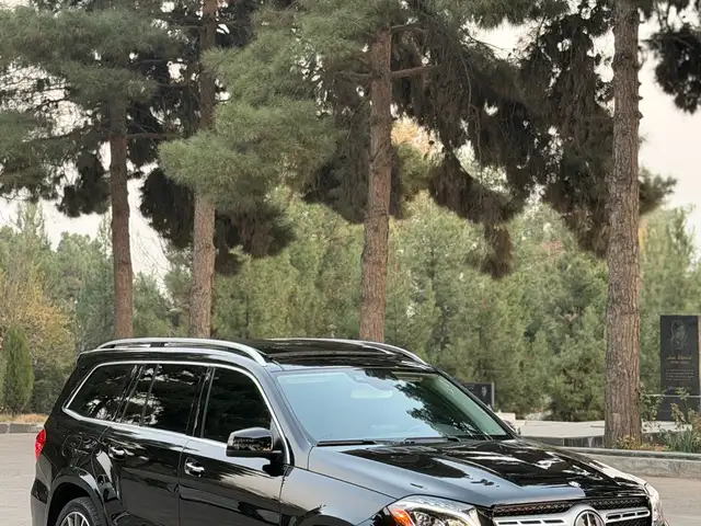 Mercedes -Benz GLS 2017 - Выбор фото 3