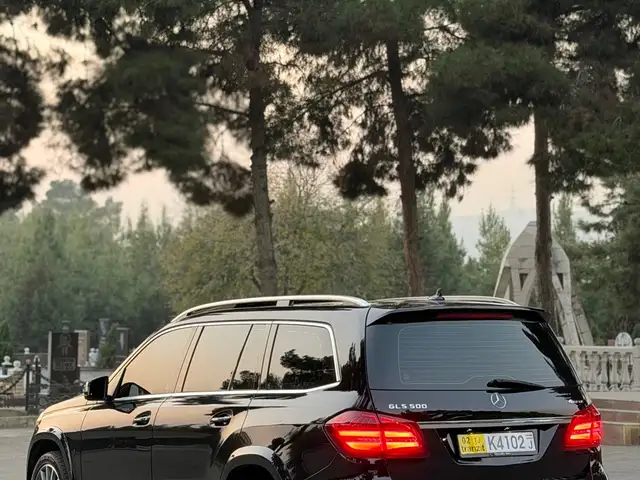 Mercedes -Benz GLS 2017 - Выбор фото 5