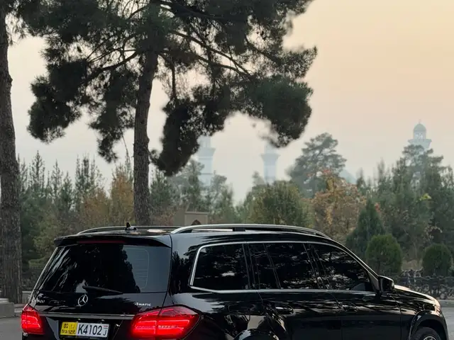 Mercedes -Benz GLS 2017 - Выбор фото 6