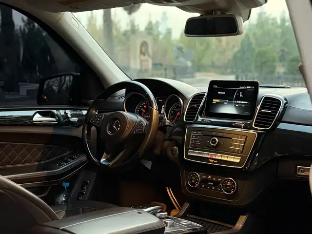 Mercedes -Benz GLS 2017 - Выбор фото 7