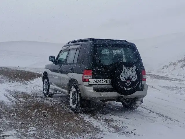 Mitsubishi Pajero Pinin 2001 - Выбор фото 6