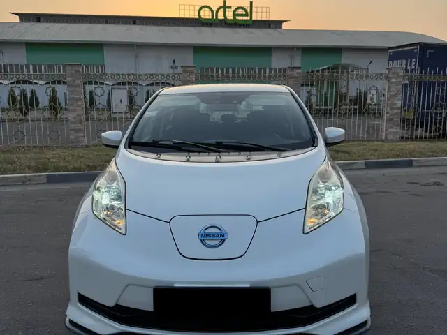 Nissan Leaf 2017 - Выбор фото 1