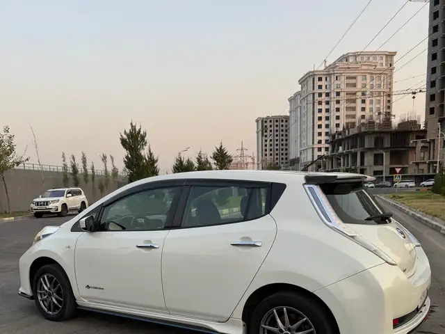 Nissan Leaf 2017 - Выбор фото 3