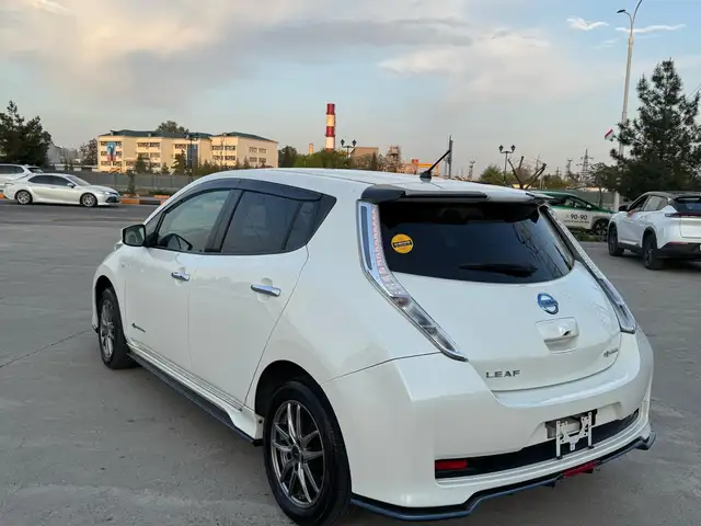 Nissan Leaf 2017 - Выбор фото 3