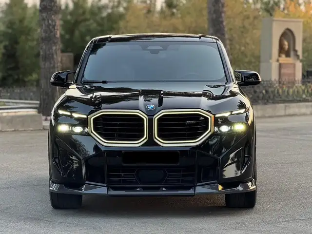 BMW XM 2024 - Выбор фото 2