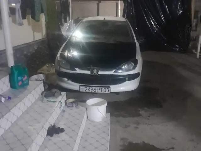 Peugeot 206 2003 - Выбор фото 4