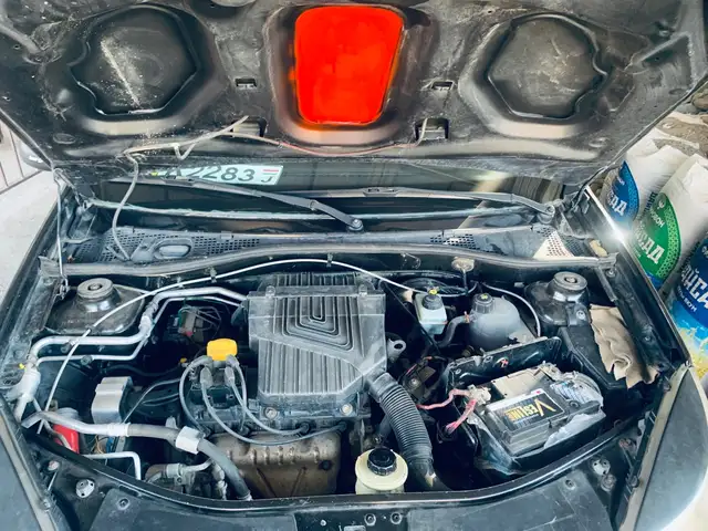 Renault 12 2012 - Выбор фото 6