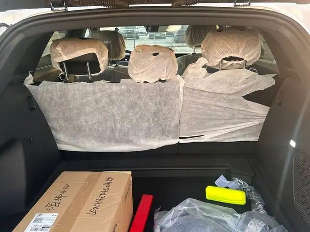 BYD Sea Lion 06 2025 - Выбор фото 6