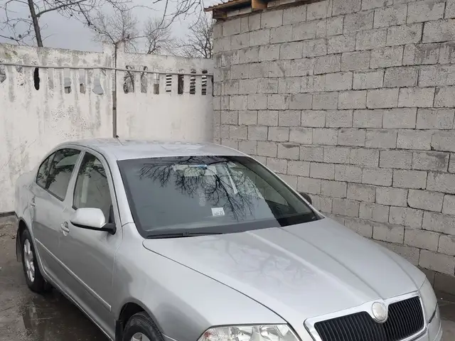 Skoda Octavia 2006 - Выбор фото 1