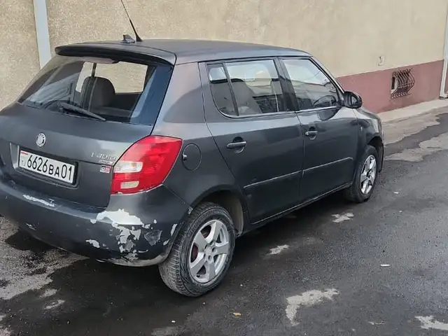 Skoda Fabia 2008 - Выбор фото 3