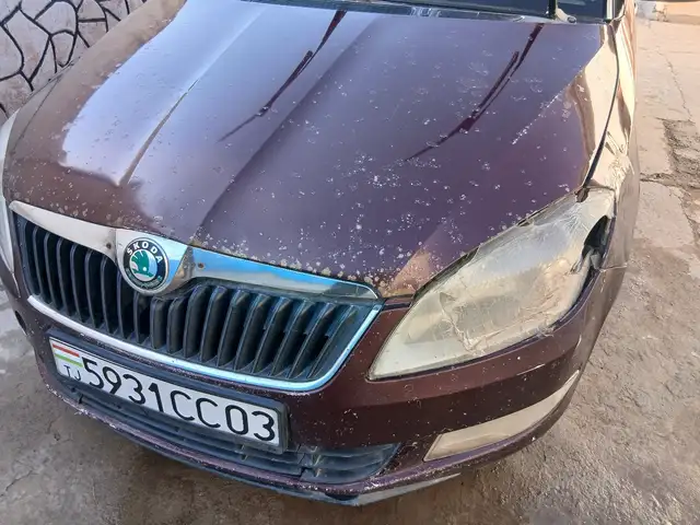 Skoda Fabia 2012 - Выбор фото 7