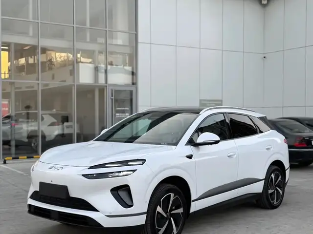 BYD Sea Lion 06 2025 - Выбор фото 1