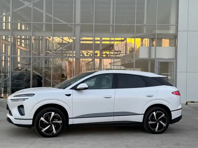 BYD Sea Lion 06 2025 - Выбор фото 2