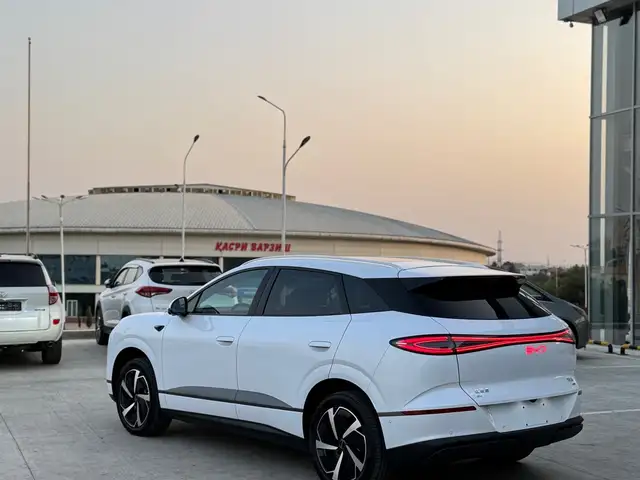 BYD Sea Lion 06 2025 - Выбор фото 8