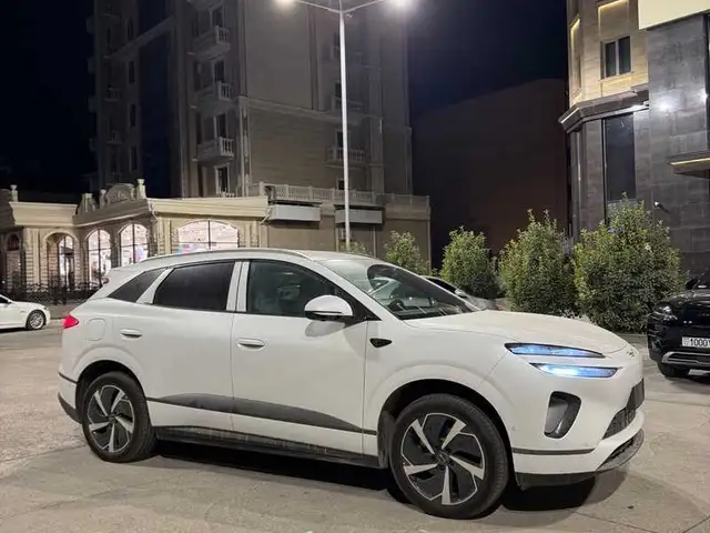 BYD Sea Lion 06 2025 - Выбор фото 4