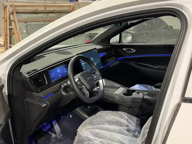 BYD Sea Lion 06 2025 - Выбор фото 8