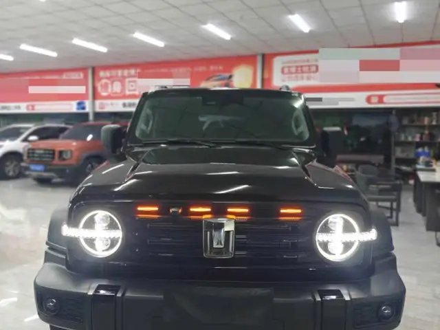 Tank 300 2025 - Выбор фото 1