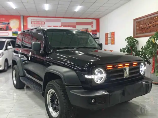 Tank 300 2025 - Выбор фото 3