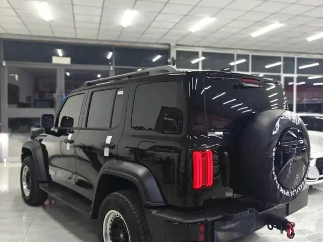 Tank 300 2025 - Выбор фото 5