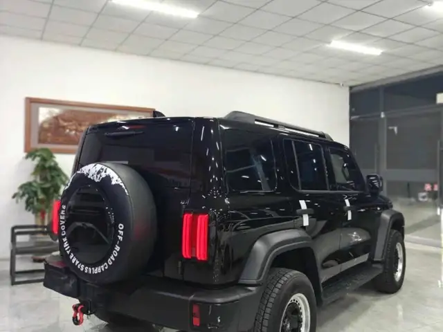 Tank 300 2025 - Выбор фото 6