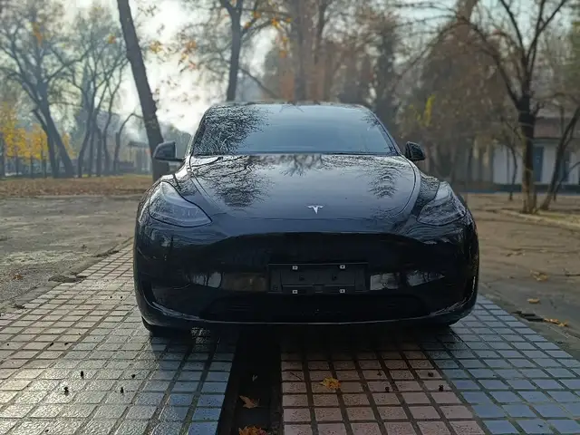 Tesla Model Y 2025 - Выбор фото 1