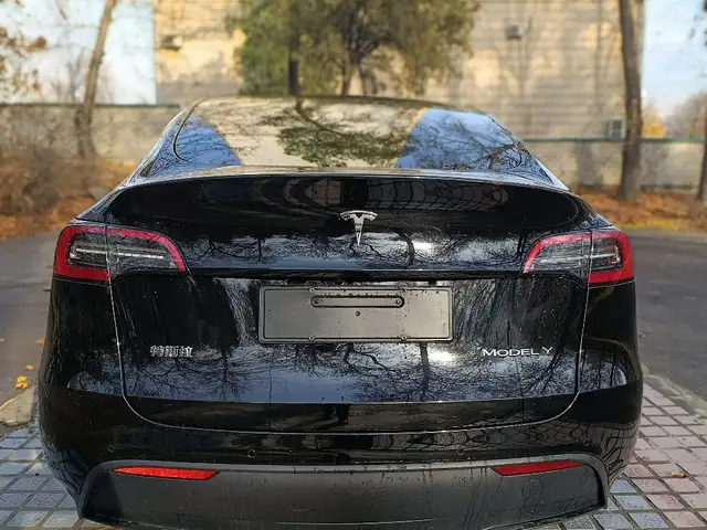 Tesla Model Y 2025 - Выбор фото 2