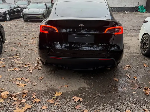 Tesla Model Y 2025 - Выбор фото 2