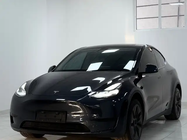 Tesla Model Y 2025 - Выбор фото 2