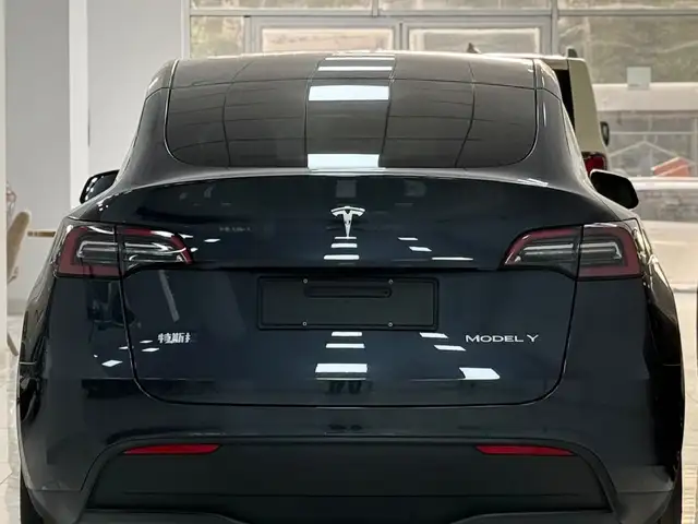 Tesla Model Y 2025 - Выбор фото 3