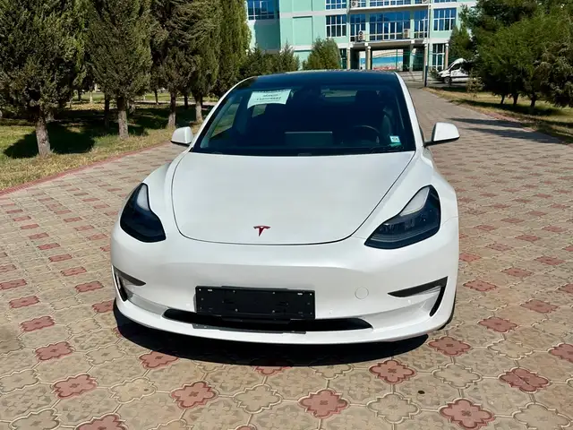 Tesla Model 3 2021 - Выбор фото 2