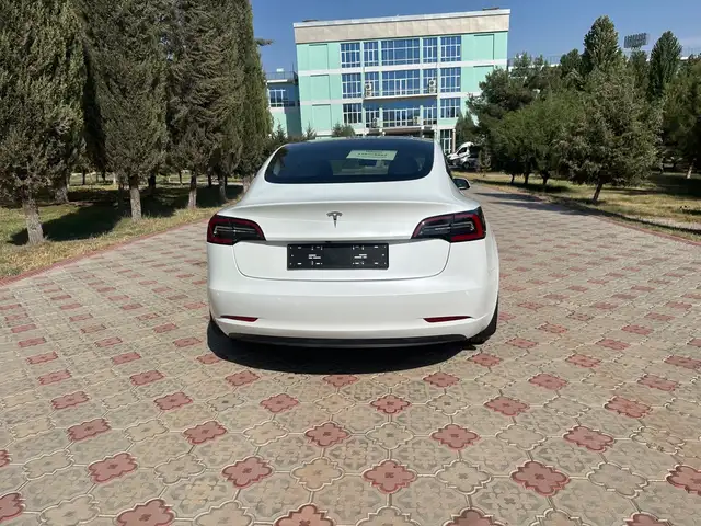 Tesla Model 3 2021 - Выбор фото 3