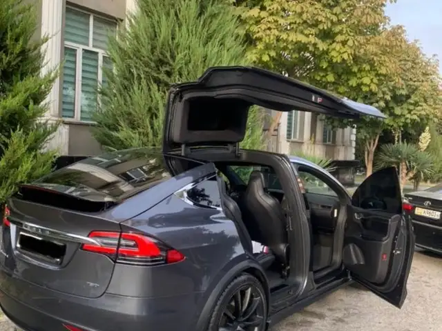 Tesla Model X 2018 - Выбор фото 6