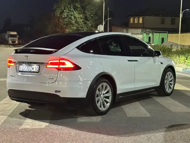 Tesla Model X 2019 - Выбор фото 6