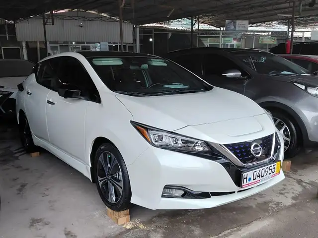 Nissan Leaf 2020