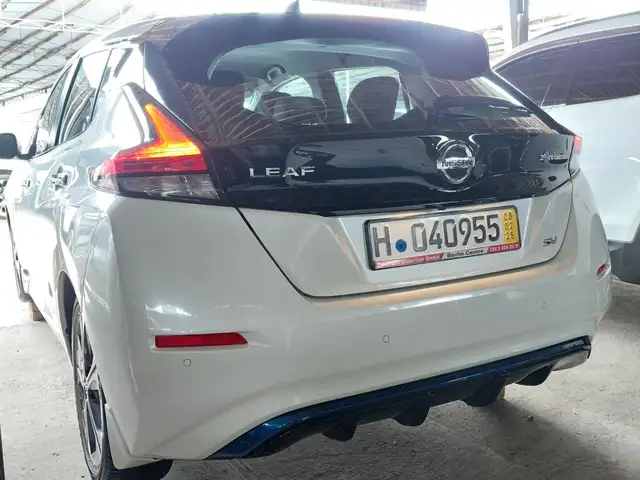 Nissan Leaf 2020