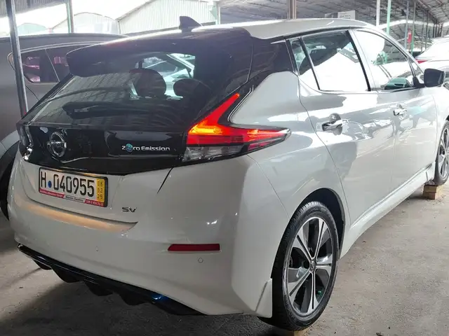 Nissan Leaf 2020